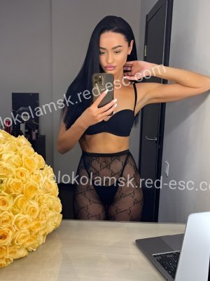 Эля — Волоколамск